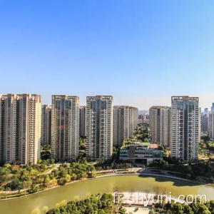 Château de Yanlord Riverside (Pudong East Chang Road)